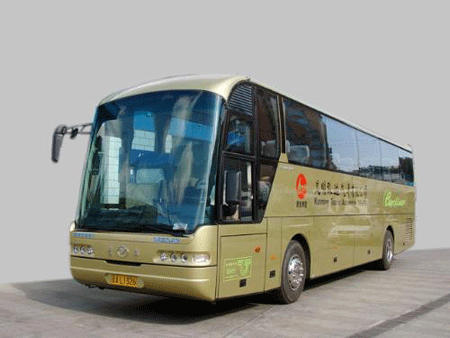 金龙|尼奥普兰|宇通旅游大巴车(30-51座)