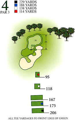 昆明春城高尔夫湖景球场-第4洞